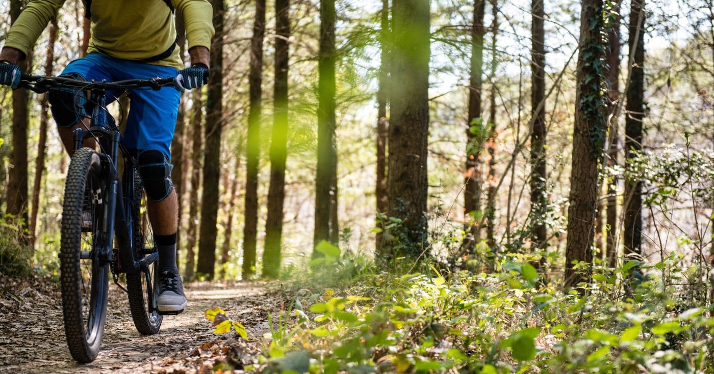 Rower MTB na ścieżce w lesie