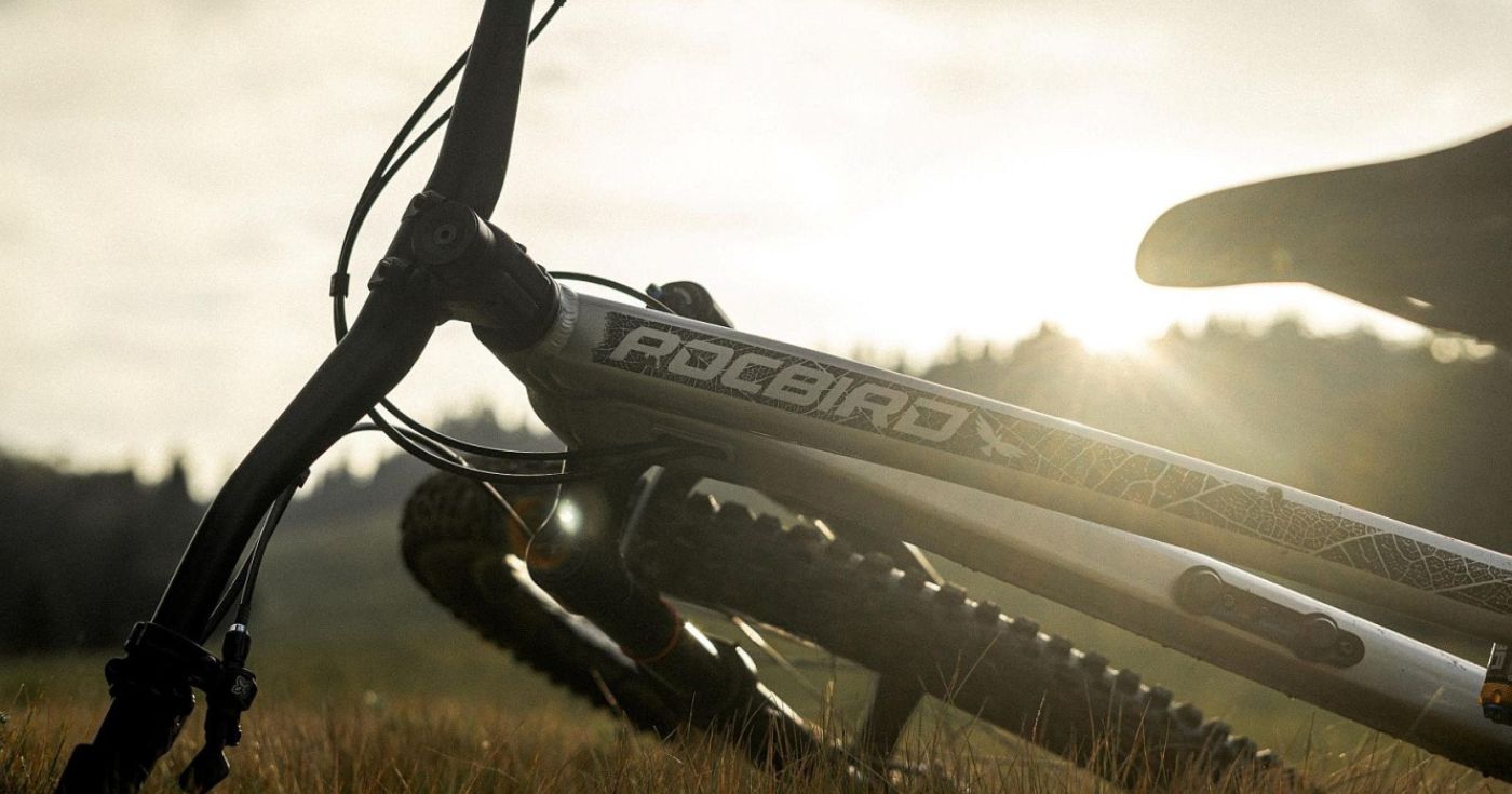 Zbliżenie na górną ramę roweru Dartmoor Rocbird Enduro Evo